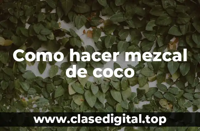 Como hacer mezcal de coco