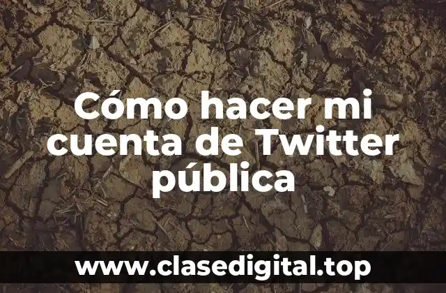 Cómo hacer mi cuenta de Twitter pública