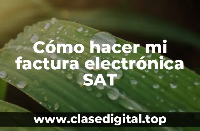 Cómo hacer mi factura electrónica SAT
