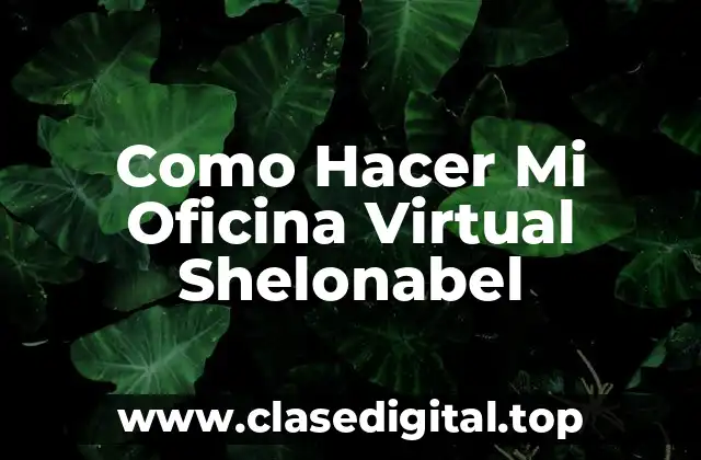 ¿Qué es una Oficina Virtual Shelonabel?