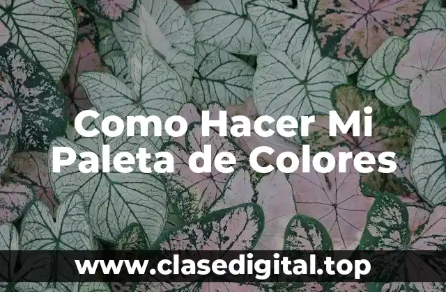 Como Hacer Mi Paleta de Colores