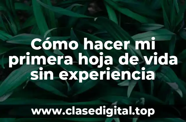 Cómo hacer mi primera hoja de vida sin experiencia