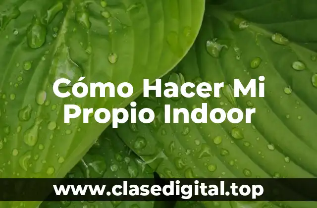 ¿Qué es un Indoor?