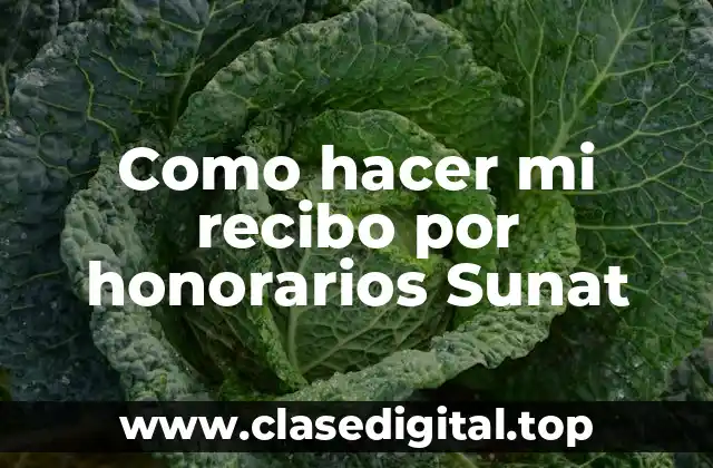 Como hacer mi recibo por honorarios Sunat