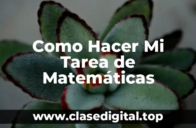 Como Hacer Mi Tarea de Matemáticas