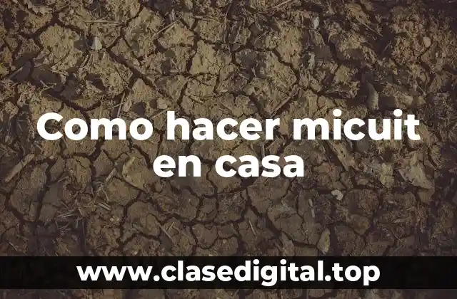 ¿Qué es el micuit y para qué sirve?