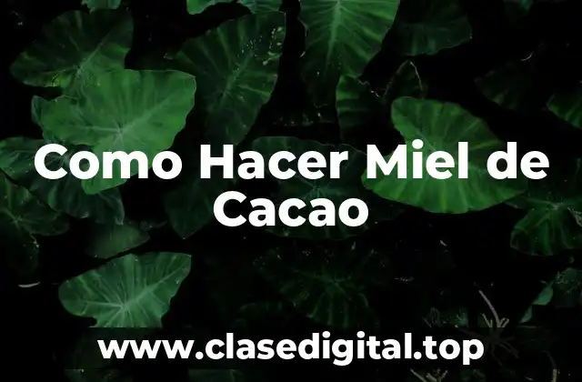 Como Hacer Miel de Cacao