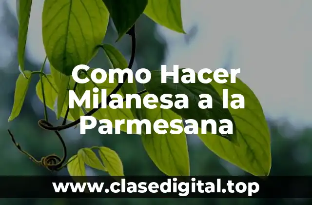 Como Hacer Milanesa a la Parmesana