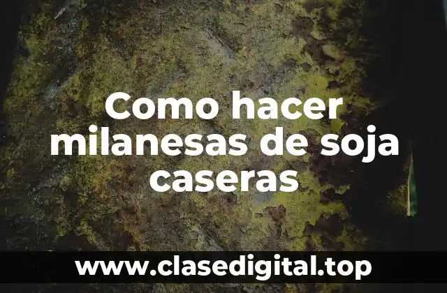 Como hacer milanesas de soja caseras