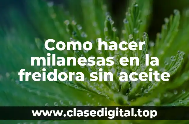 Como hacer milanesas en la freidora sin aceite