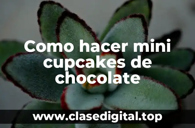 Como hacer mini cupcakes de chocolate
