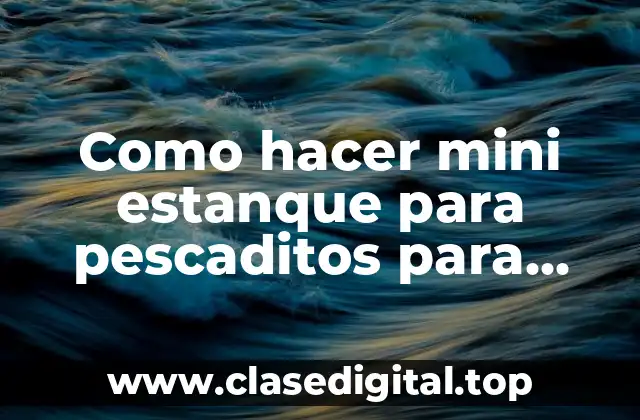 Como hacer mini estanque para pescaditos para interiores