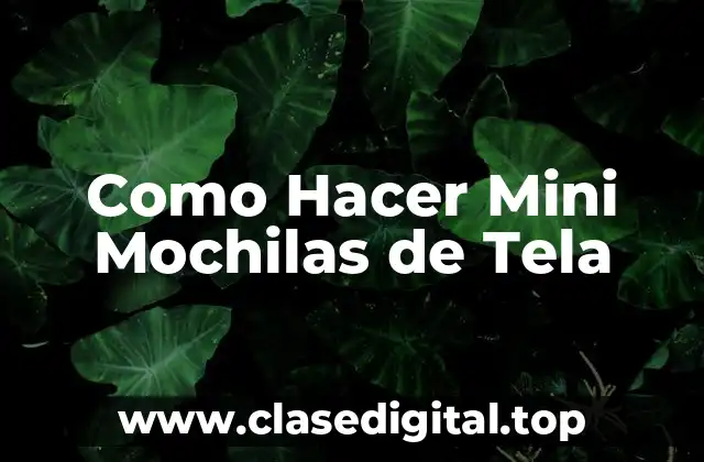 Como Hacer Mini Mochilas de Tela