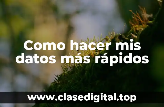 Como hacer mis datos más rápidos