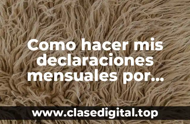 Como hacer mis declaraciones mensuales por internet