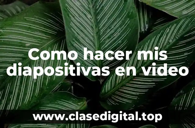 ¿Qué son las diapositivas en video?
