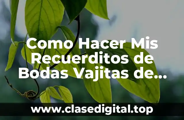 Como Hacer Mis Recuerditos de Bodas Vajitas de Novios