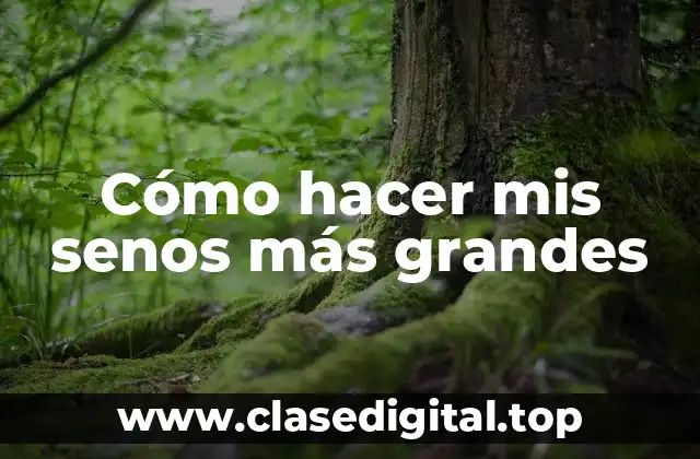 Cómo hacer mis senos más grandes