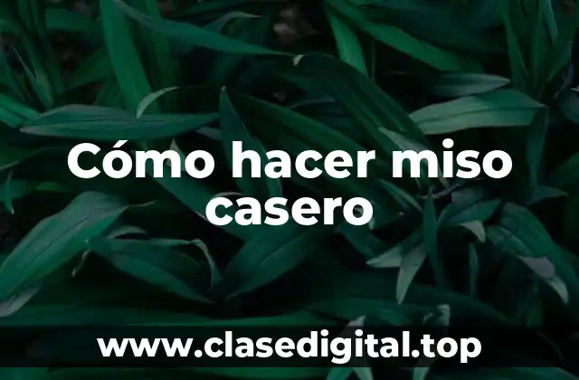 Cómo hacer miso casero