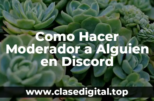 Como Hacer Moderador a Alguien en Discord