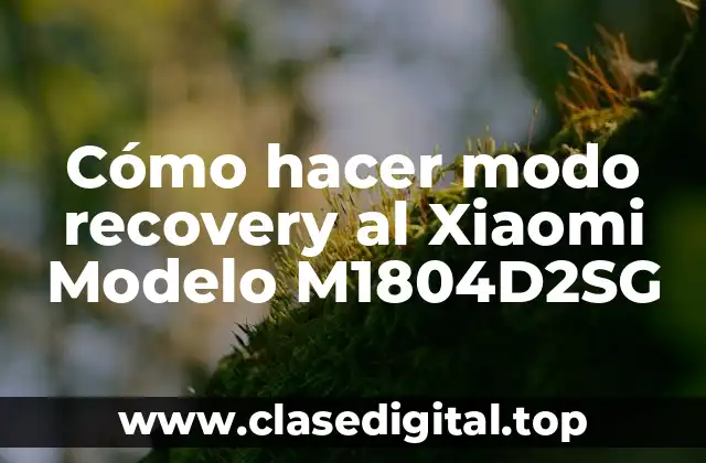 Cómo hacer modo recovery al Xiaomi Modelo M1804D2SG