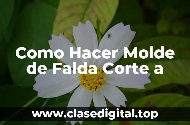 Como Hacer Molde de Falda Corte a