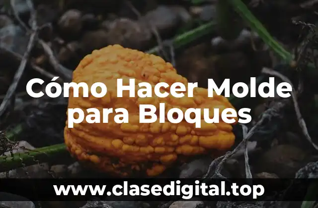 Cómo Hacer Molde para Bloques