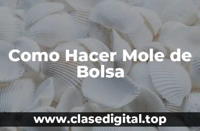 Como Hacer Mole de Bolsa
