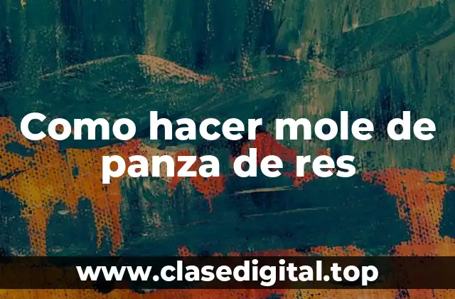 Como hacer mole de panza de res