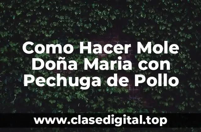 Como Hacer Mole Doña Maria con Pechuga de Pollo