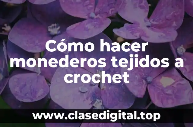 Cómo hacer monederos tejidos a crochet