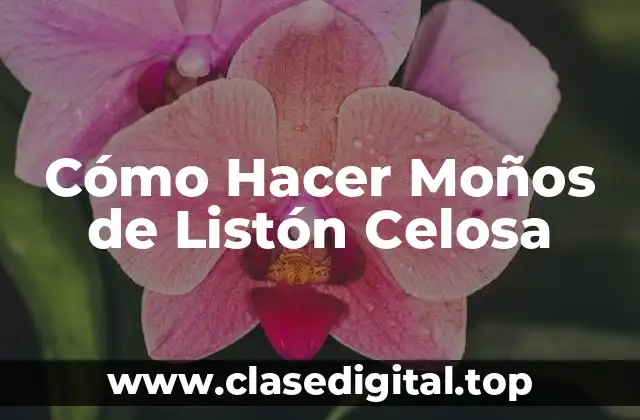 Cómo Hacer Moños de Listón Celosa