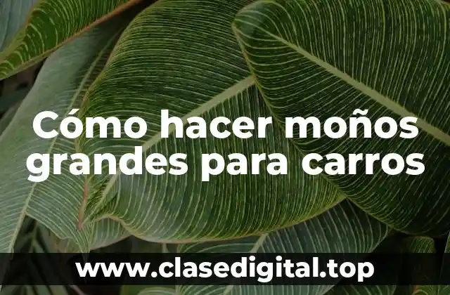 Cómo hacer moños grandes para carros