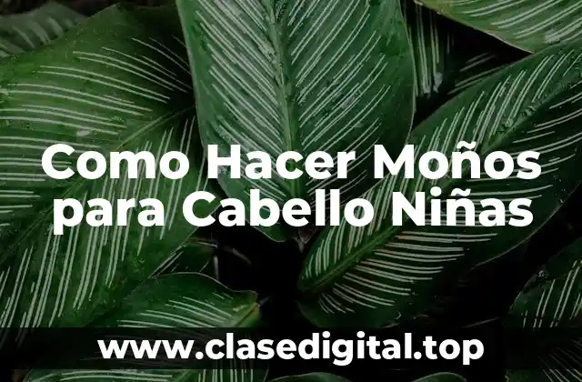 Como Hacer Moños para Cabello Niñas