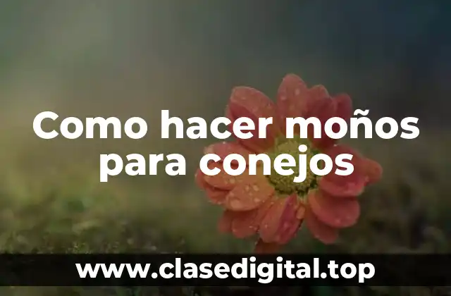 Como hacer moños para conejos