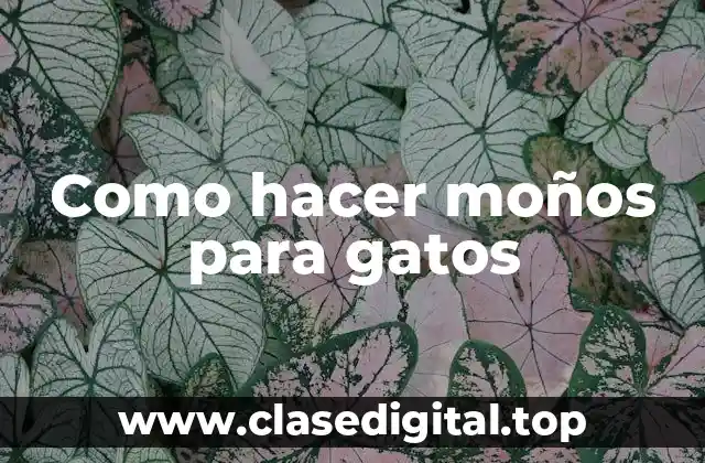 Como hacer moños para gatos