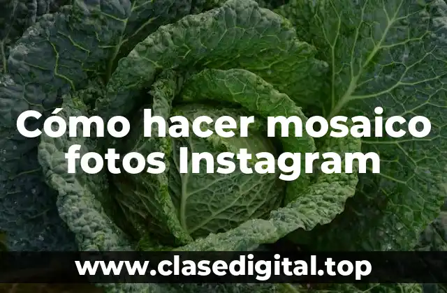 Cómo hacer mosaico fotos Instagram