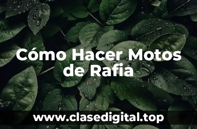 Cómo Hacer Motos de Rafia