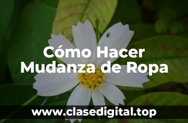 Cómo Hacer Mudanza de Ropa