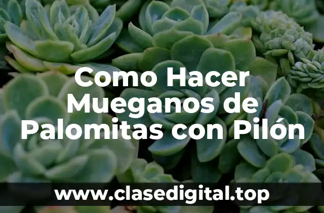 Como Hacer Mueganos de Palomitas con Pilón