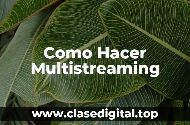 ¿Qué es el multistreaming y para qué sirve?