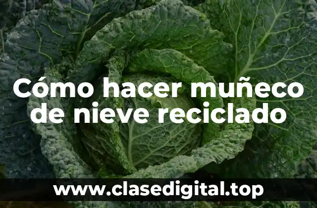 Cómo hacer muñeco de nieve reciclado