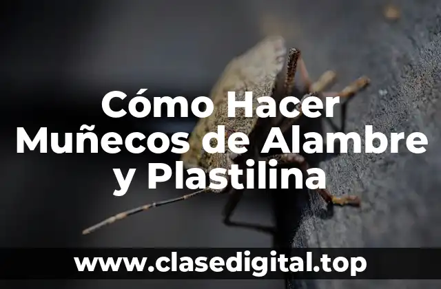 Cómo Hacer Muñecos de Alambre y Plastilina