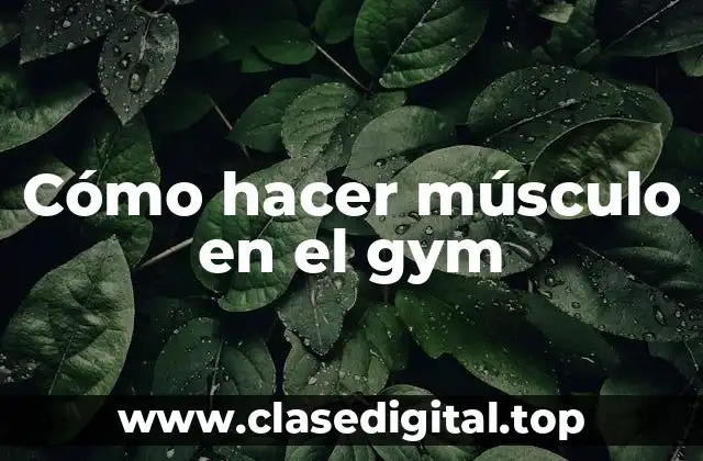 Cómo hacer músculo en el gym
