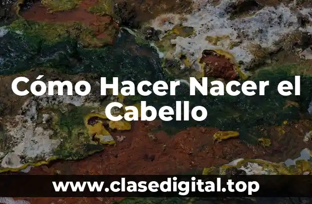 Cómo Hacer Nacer el Cabello