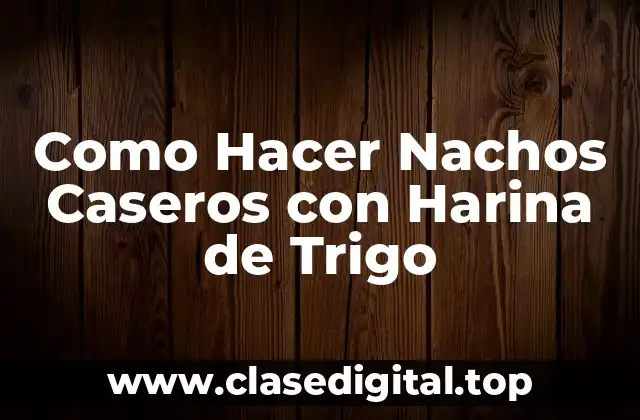 ¿Qué son los Nachos Caseros con Harina de Trigo y para Qué Sirven?
