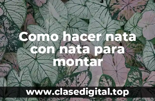 Nata para montar: ¡Descubre qué es y para qué sirve!