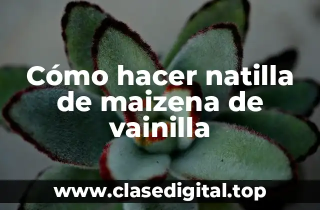 Cómo hacer natilla de maizena de vainilla