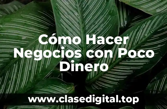 Cómo Hacer Negocios con Poco Dinero