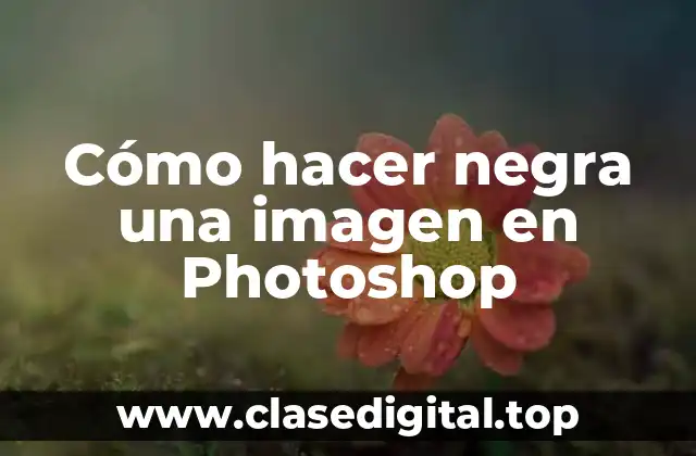 Cómo hacer negra una imagen en Photoshop